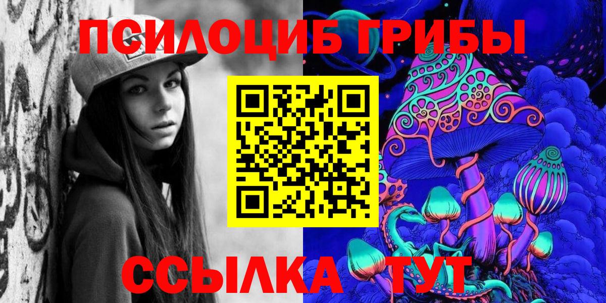 Михайловка  Галлюциногенные грибы Psilocybe  закладка  Вход с VPN 